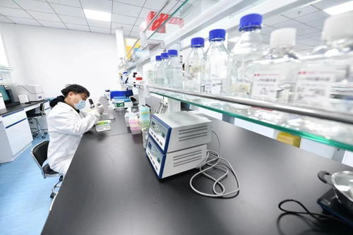 北京亦莊生物醫藥園企業全力以“復”，技術開發驅動產業新活力