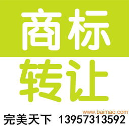 商標轉讓全攻略 從選擇到入駐天貓，一站式解析